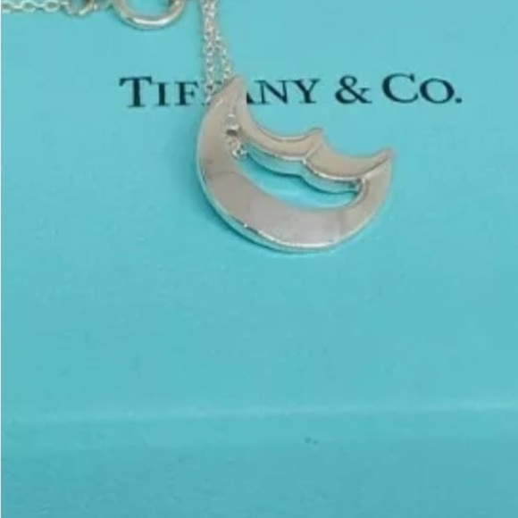 Tiffany & Co. Silver Moon Necklace - Picture 4 of 11